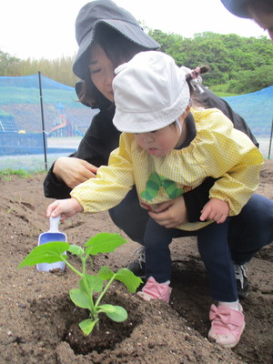 写真１