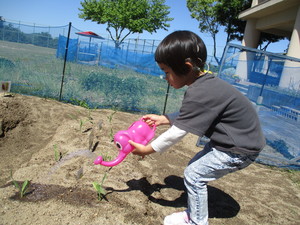 写真５