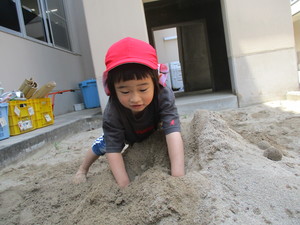 写真２