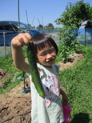 写真２