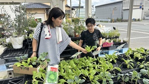 野菜苗購入１