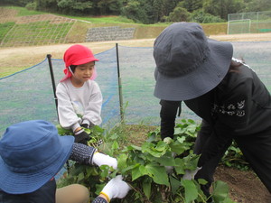 写真１