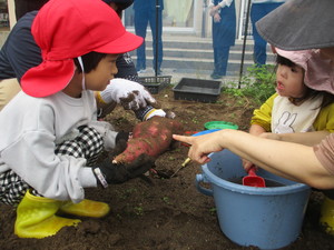 写真２
