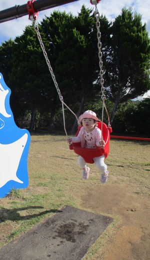 写真１