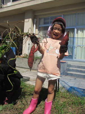 写真２