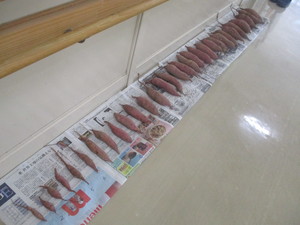 写真３